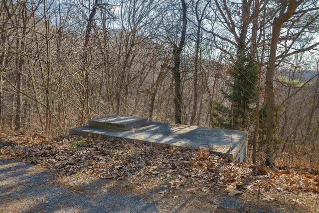 755 WILDWOOD LN, Shenandoah, VA 22849