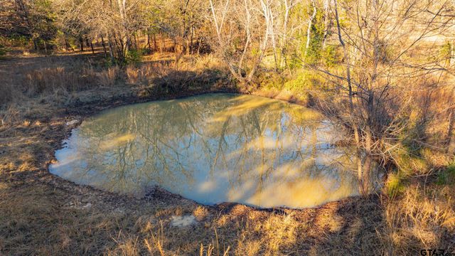 822 NE CR 2170, Mt Vernon, TX 75457