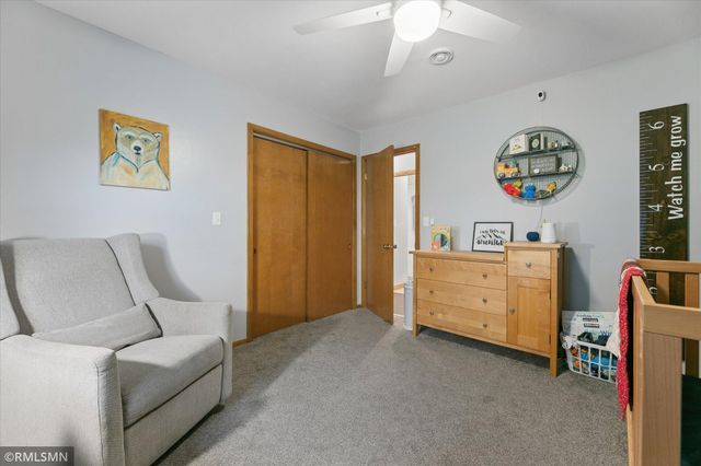 204 4th Street NE, Mayer, MN 55360
