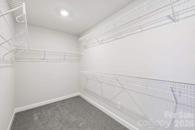 8124 Hidden Springs Trail, Charlotte, NC 28216