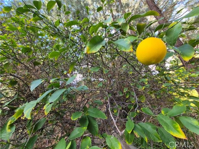 4040 Piedmont Drive 356, Highland, CA 92346