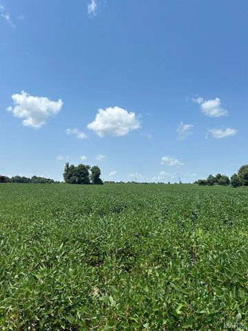 0 Highway 62, Campbell, MO 63933