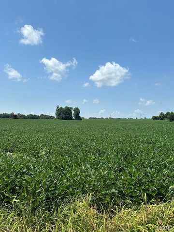 0 Highway 62, Campbell, MO 63933