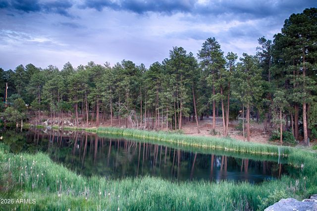 2540 W WATERS EDGE Lane, Lakeside, AZ 85929