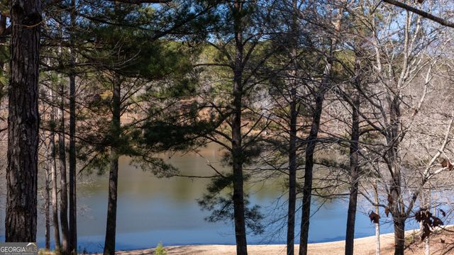 175 Thornton Road, Franklin, GA 30217