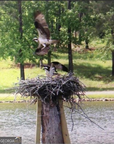 175 Thornton Road, Franklin, GA 30217