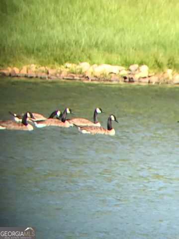 175 Thornton Road, Franklin, GA 30217