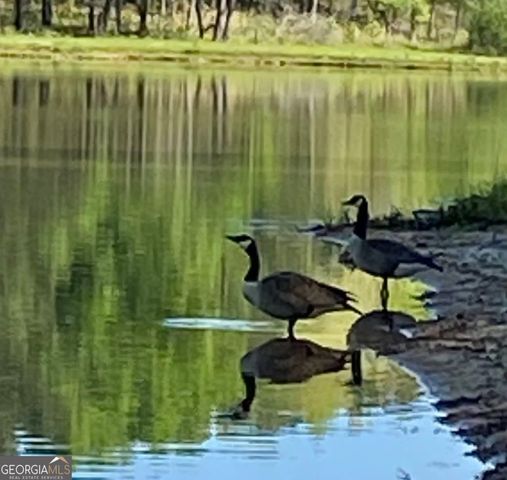 175 Thornton Road, Franklin, GA 30217