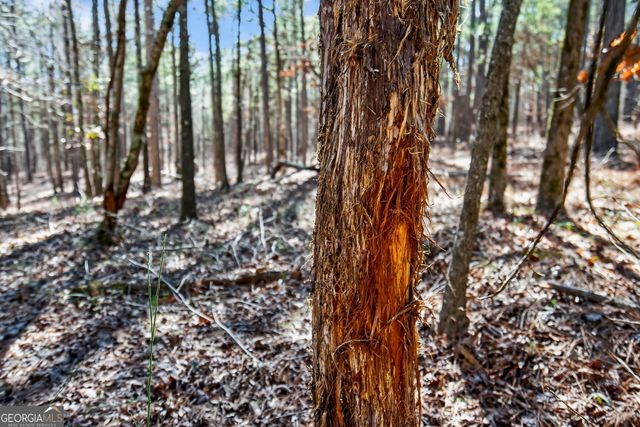 175 Thornton Road, Franklin, GA 30217