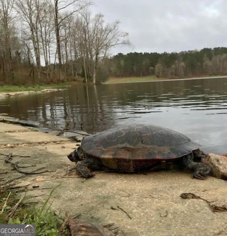 175 Thornton Road, Franklin, GA 30217