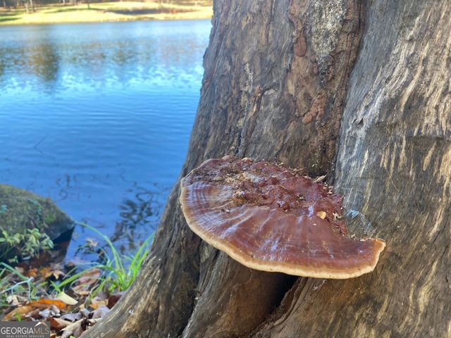 175 Thornton Road, Franklin, GA 30217