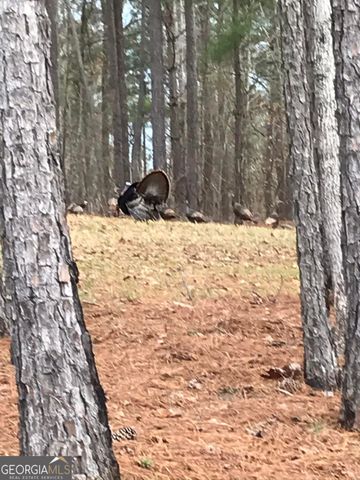 175 Thornton Road, Franklin, GA 30217