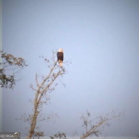 175 Thornton Road, Franklin, GA 30217