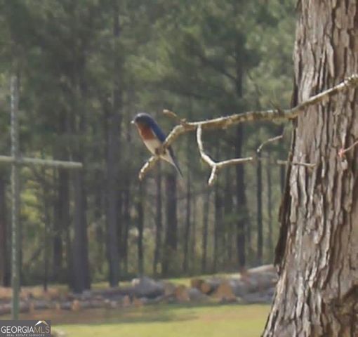 175 Thornton Road, Franklin, GA 30217