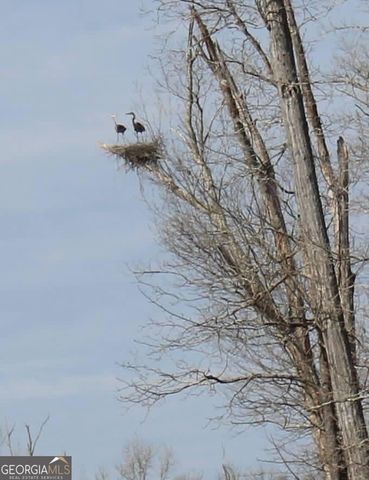 175 Thornton Road, Franklin, GA 30217