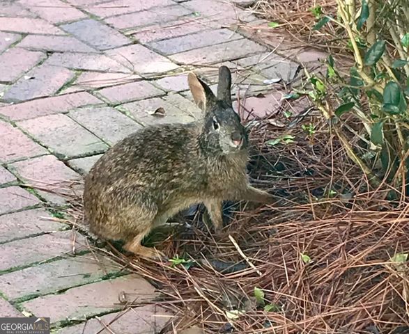 175 Thornton Road, Franklin, GA 30217