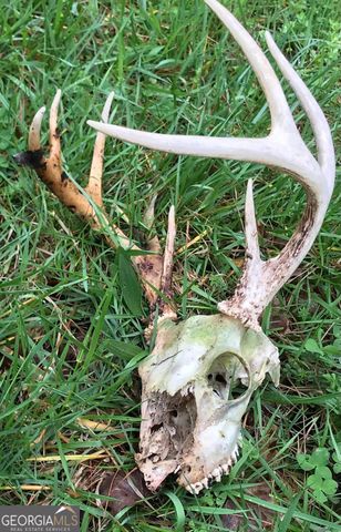 175 Thornton Road, Franklin, GA 30217