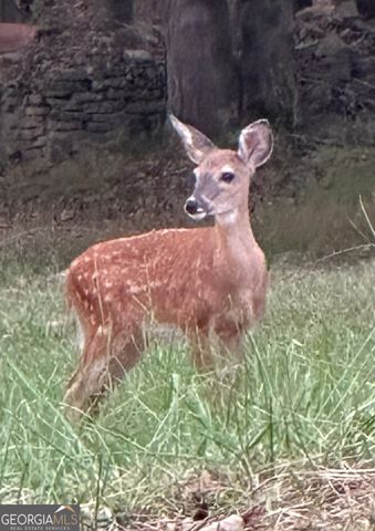 175 Thornton Road, Franklin, GA 30217