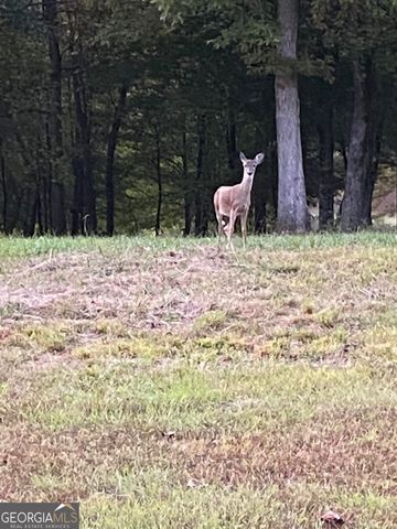 175 Thornton Road, Franklin, GA 30217