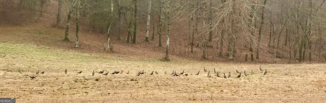 175 Thornton Road, Franklin, GA 30217