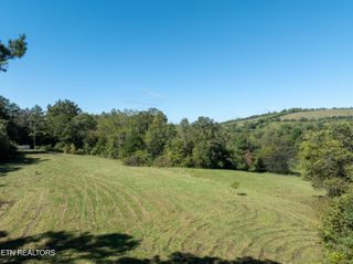 1977 Blue Tick Lane, Lenoir City, TN 37771