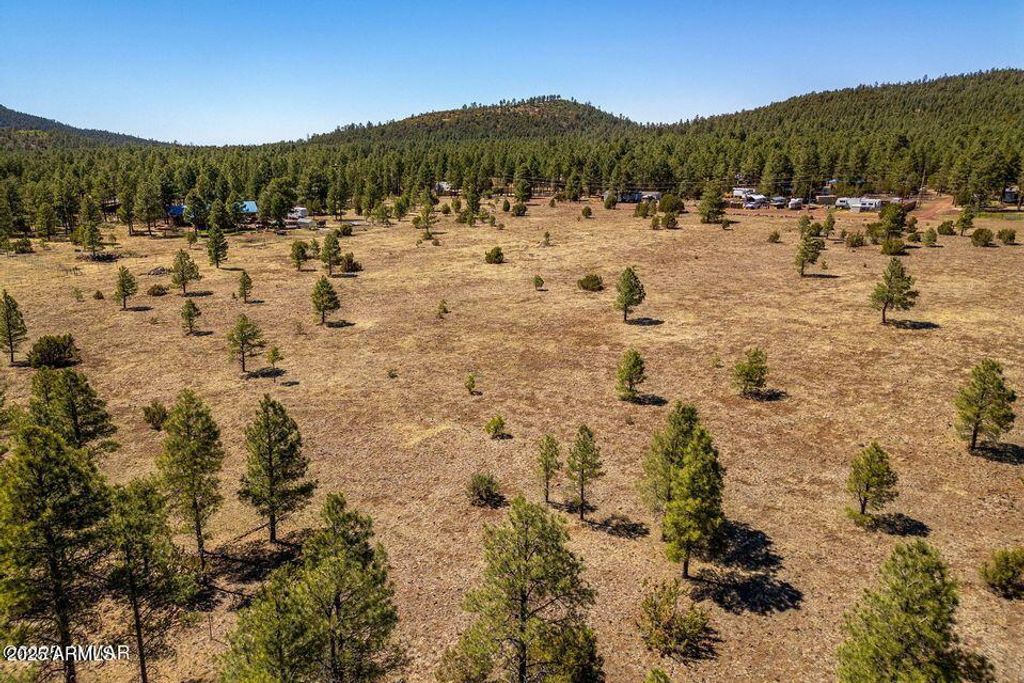 Image 12 of property listing at 9321 MOUNTAIN MEADOW Lane -, Lakeside, AZ 85929