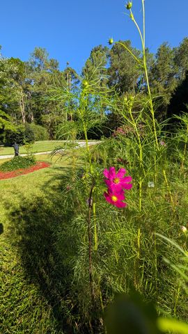 66 Waters Edge Drive, Aiken, SC 29803