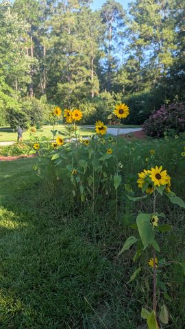 66 Waters Edge Drive, Aiken, SC 29803