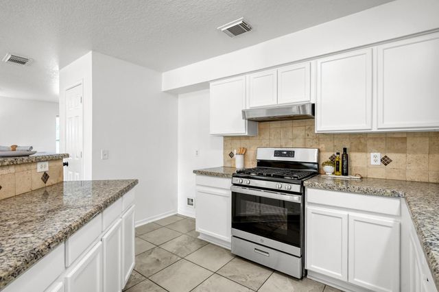 17602 S Summit Canyon Drive, Houston, TX 77095