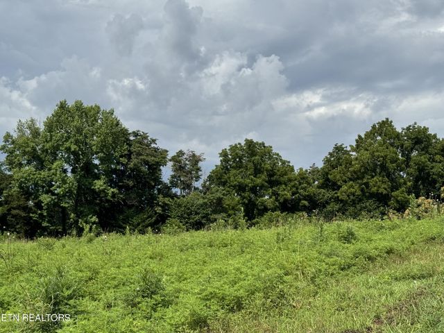 0 Collier Lane, Rock Island, TN 38581