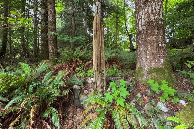151 Kingo Ridge Road, Port Angeles, WA 98363