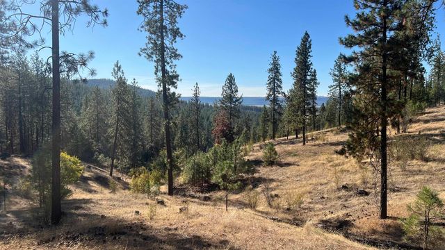 NNA Corkscrew Canyon Rd, Tumtum, WA 99034