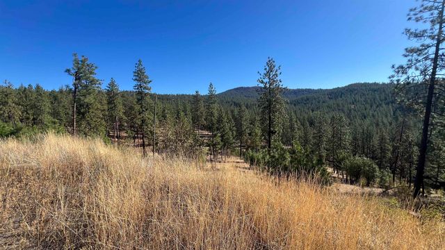 NNA Corkscrew Canyon Rd, Tumtum, WA 99034