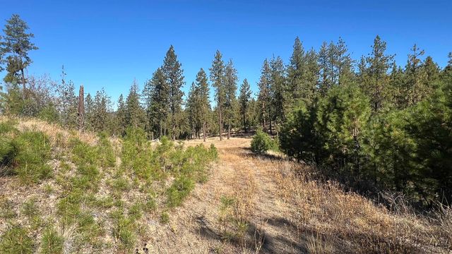 NNA Corkscrew Canyon Rd, Tumtum, WA 99034