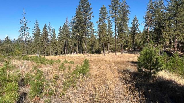 NNA Corkscrew Canyon Rd, Tumtum, WA 99034