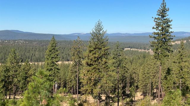 NNA Corkscrew Canyon Rd, Tumtum, WA 99034