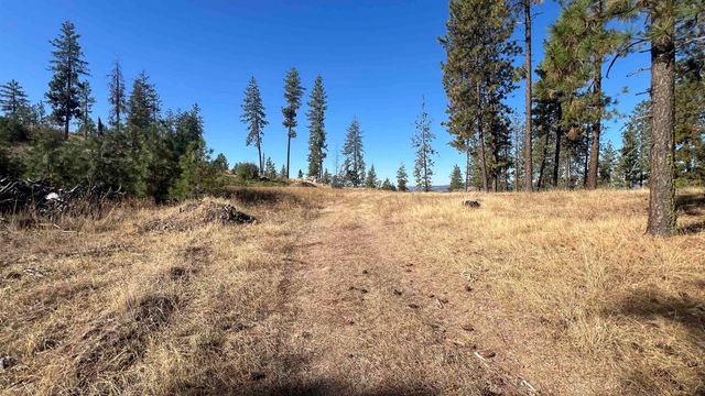 NNA Corkscrew Canyon Rd, Tumtum, WA 99034