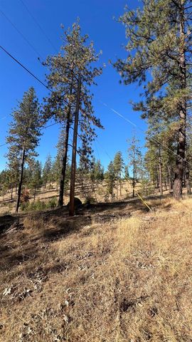 NNA Corkscrew Canyon Rd, Tumtum, WA 99034