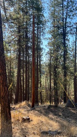 NNA Corkscrew Canyon Rd, Tumtum, WA 99034