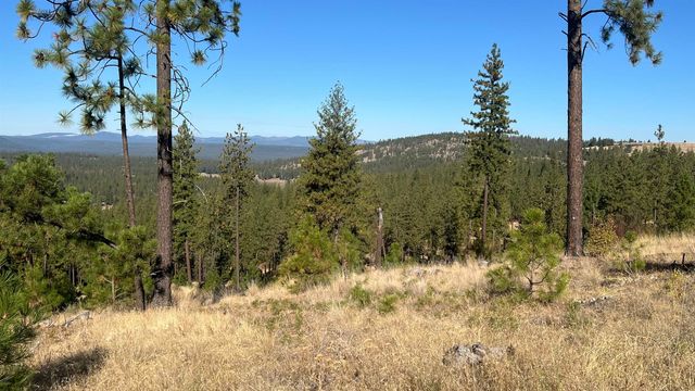 NNA Corkscrew Canyon Rd, Tumtum, WA 99034