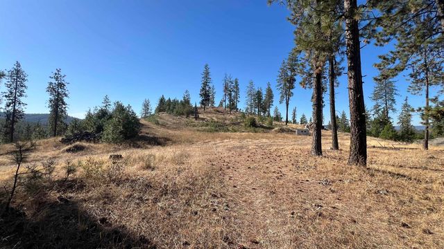 NNA Corkscrew Canyon Rd, Tumtum, WA 99034