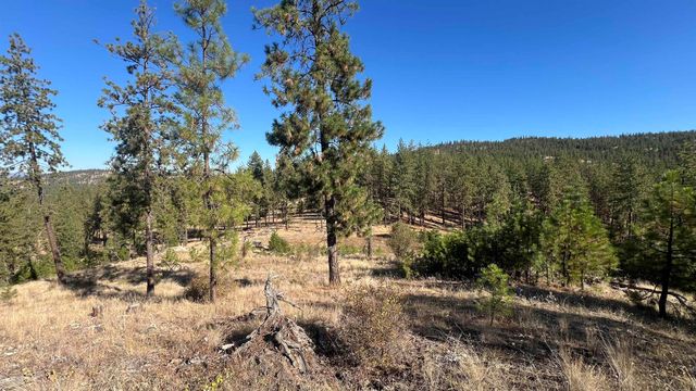 NNA Corkscrew Canyon Rd, Tumtum, WA 99034