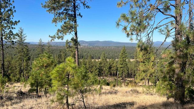 NNA Corkscrew Canyon Rd, Tumtum, WA 99034