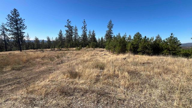 NNA Corkscrew Canyon Rd, Tumtum, WA 99034