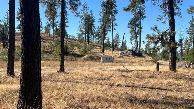 NNA Corkscrew Canyon Rd, Tumtum, WA 99034