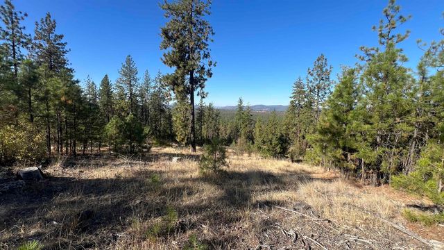 NNA Corkscrew Canyon Rd, Tumtum, WA 99034