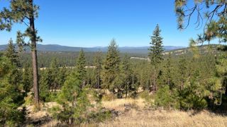NNA Corkscrew Canyon Rd, Tumtum, WA 99034