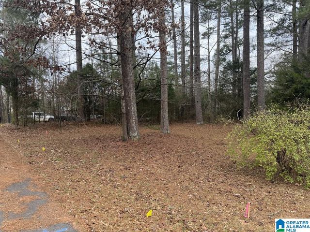 433 6TH STREET N, Pell City, AL 35125