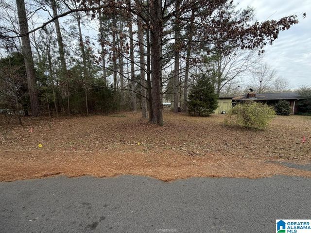 433 6TH STREET N, Pell City, AL 35125