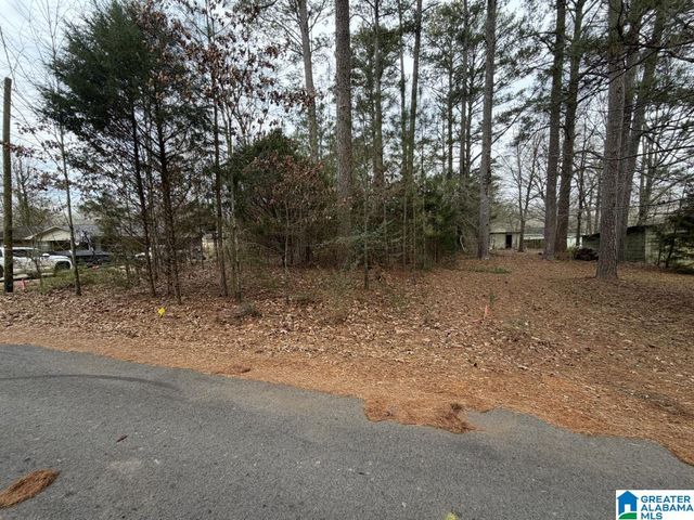 433 6TH STREET N, Pell City, AL 35125